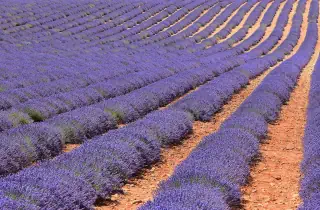 Między Sekwaną a Morzem Śródziemnym